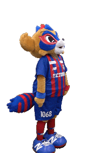 Football Tokyo Sticker by FC東京