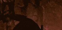 Season 1 Nickelodeon GIF by Paramount+