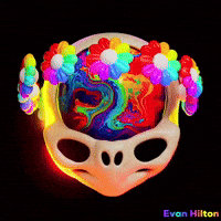 Day Of The Dead Skull GIF by Evan Hilton
