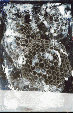 petzelgallery giphyupload GIF