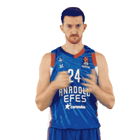 Sport Basketball Sticker by Anadolu Efes SK