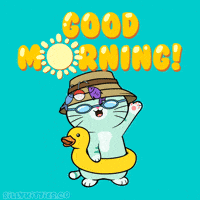 Good Morning Sunshine GIF by Silly Kitties