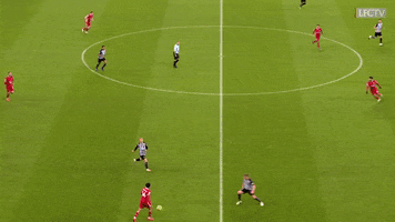 Premier League Sport GIF by Liverpool FC