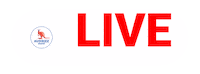 AussizzGroup live session information session session live online session Sticker