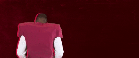 Football Roll Pards GIF by Lafayette Leopards