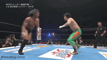 wrestling GIF