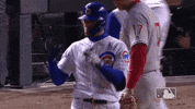 major league baseball hug GIF by MLB