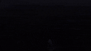 crystal river florida GIF