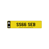 Ss66Seb Sticker by Absolutely Audi