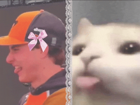 Formula 1 Cat GIF