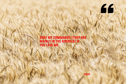 EnzoImages giphyupload love happy jesus GIF