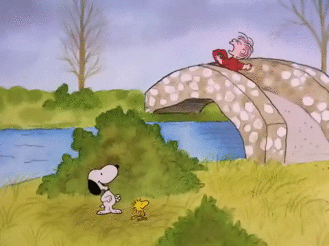 charlie brown GIF by Peanuts