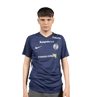 Top Fifa Sticker by FOLLOWNEOAG