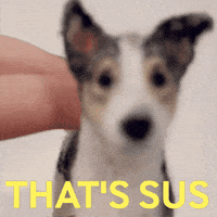 Suspicious Good Boy GIF