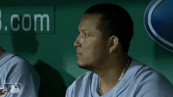 Major League Baseball Reaction GIF by Detroit Tigers