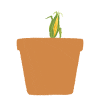 Grow Your Own Sticker by Riverford Organic Farmers