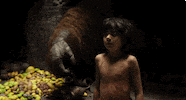 jon favreau disney GIF by Disney's The Jungle Book