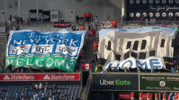 Major League Soccer Sport GIF by NYCFC