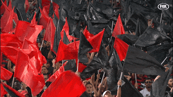 wswanderersfc football fans rbb wanderers GIF