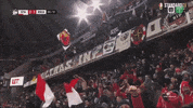 football fans GIF by Standard de Liège