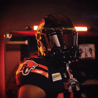 British Columbia Football GIF by BC Lions