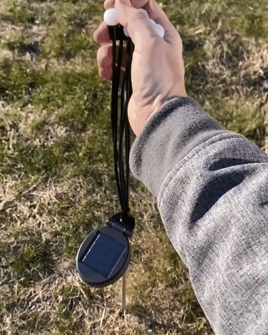 JollyOwls giphyupload GIF