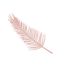 Flowers Leaf Sticker by The Nappy Gurus