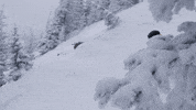 Snowboarding Road Trip GIF by ikonpass