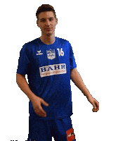 Handball Facepalm Sticker by ATSV Habenhausen