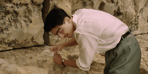 Dream Big Timothee Chalamet GIF by A24