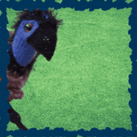 Big Bird GIF by TeaCosyFolk
