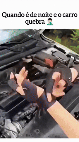 GIF Animado