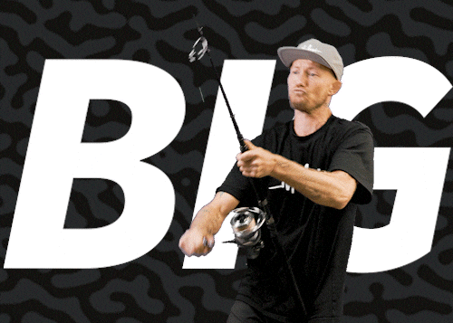 Big Fish Fishing GIF by Malosi Studio