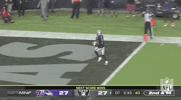 Las Vegas Raiders Football GIF by NFL