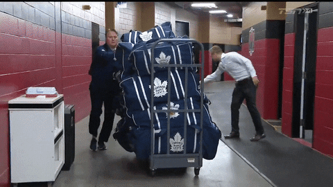 torontomapleleafs giphyupload hockey nhl toronto GIF