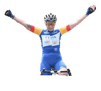 Vibrata1 Sticker by ASD Vibrata Bike