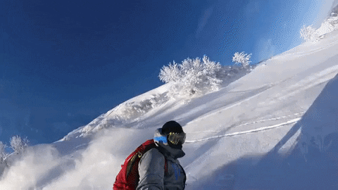 Projets giphyupload ski mountains snowboard GIF