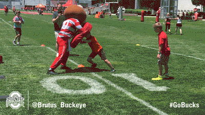 Ohio State Sport GIF by Ohio State Athletics