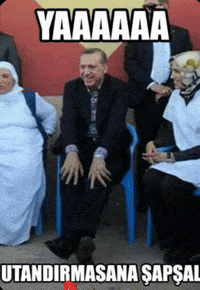 Rte Akparti GIF
