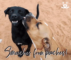 Smooches From Pooches