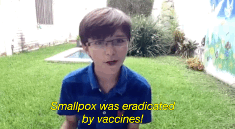 the vaccines GIF