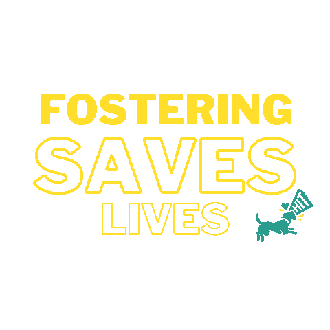 Foster Fosteringsaveslives Sticker by HIT Living Foundation