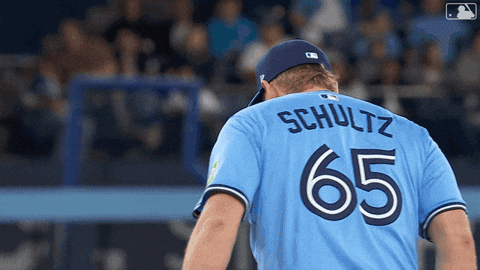 Blue Jays Baseball GIF by Toronto Blue Jays