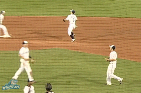 happy grand rapids GIF by West Michigan Whitecaps 