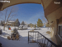 Delivery Driver Forgets to Put Van in Park