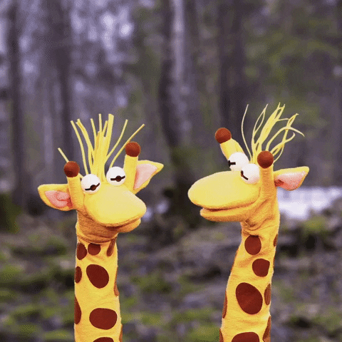 Giraffas giphyupload alegria sim diversao GIF