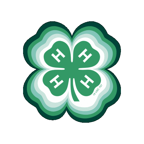 Beyond Ready Sticker by 4-H