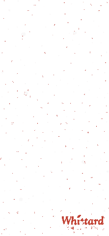 Let It Snow Logo Sticker by Whittard CZ