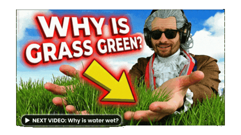 Pointing Out The Obvious Green Grass Sticker
