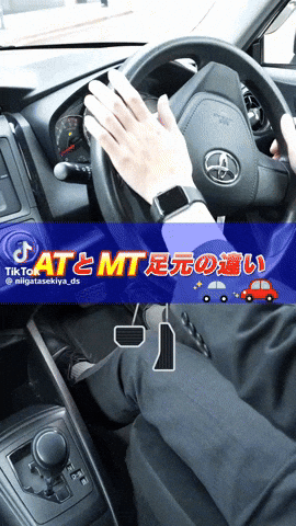 vatscomvn giphyupload at mt vats GIF